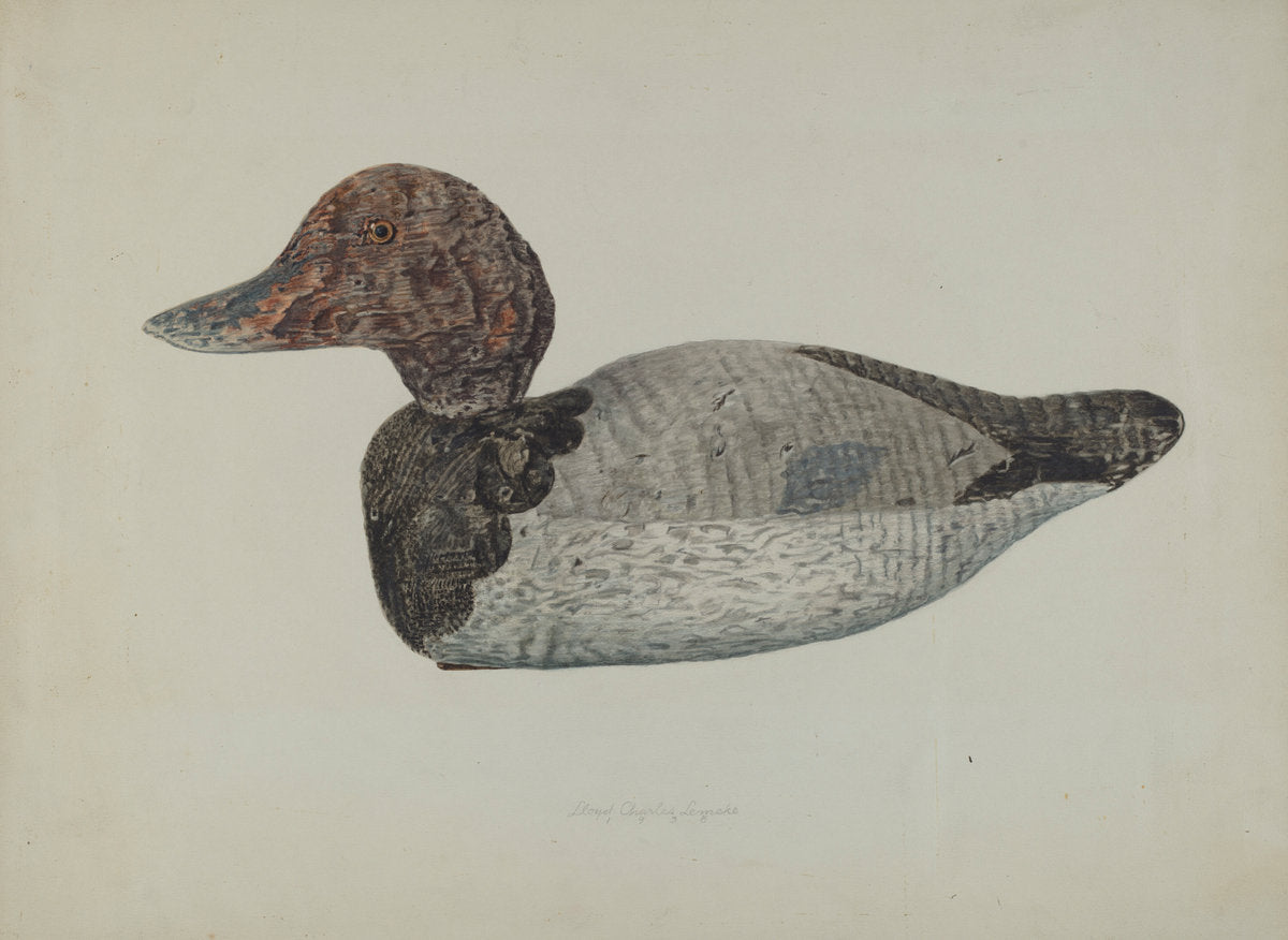 Decoy Duck #1 by Lloyd Charles Lemcke (American, active c. 1935), 16X12"(A3)Poster Print
