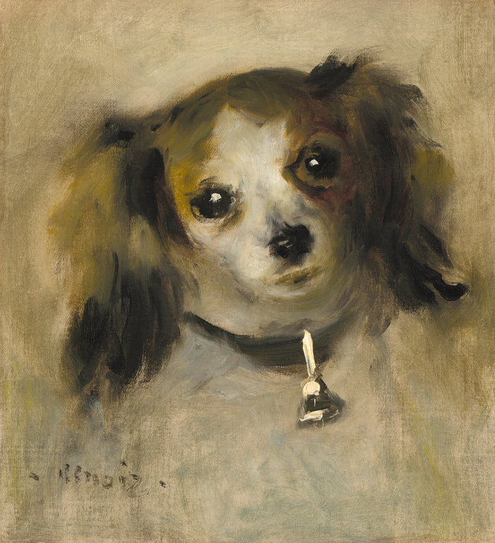 Head of a Dog by Auguste Renoir (French, 1841 - 1919), 16X12