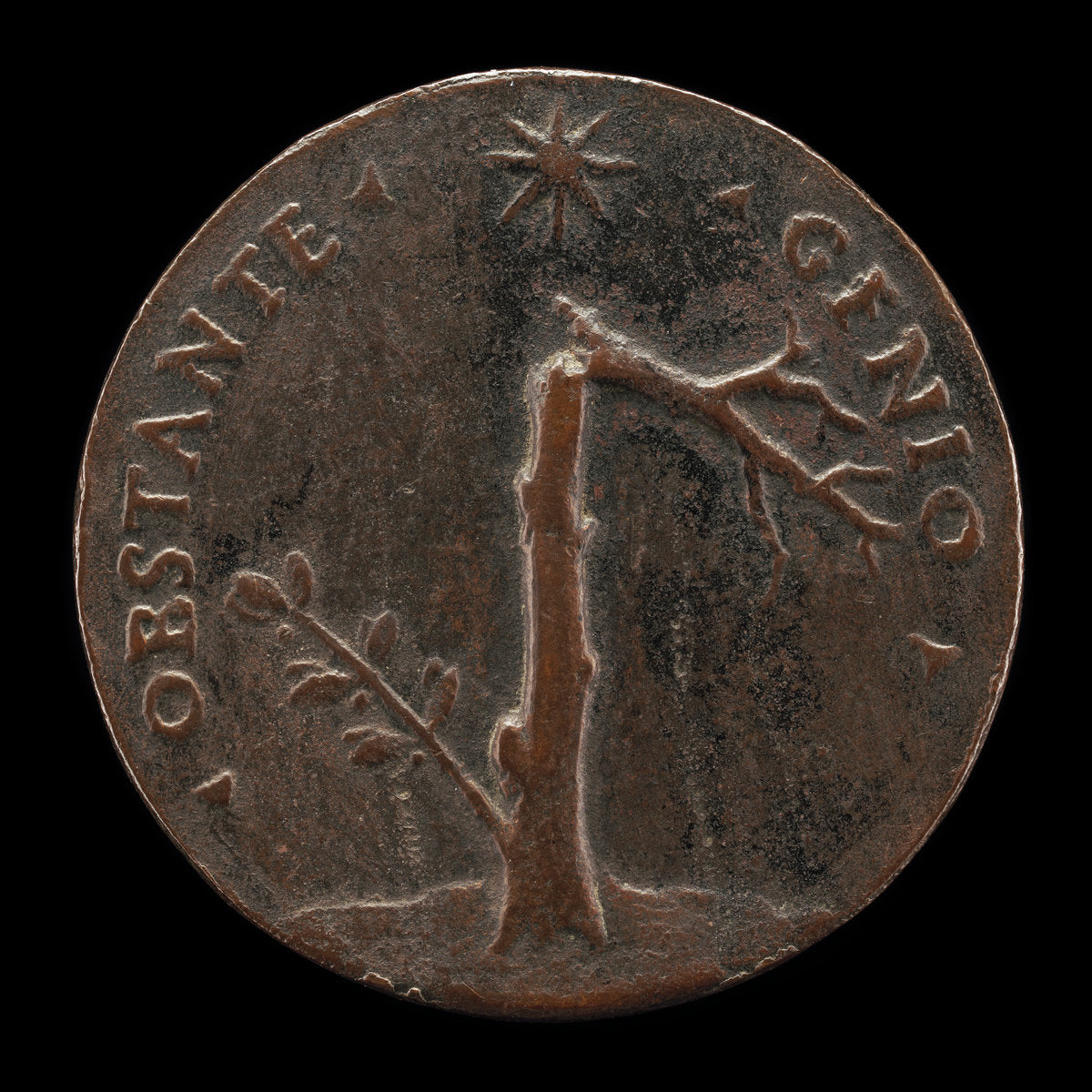 probably 1532 by Follower of Andrea Briosco, called Riccio (Broken Laurel Tree with Leafy Branch [reverse]), 16X12"(A3)Poster Print