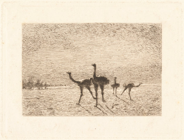 Ostriches in the Desert by François-Nicolas Auguste Feyen-Perrin (French, 1826 - 1888), 16X12"(A3)Poster Print