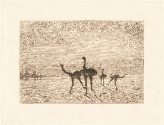 Ostriches in the Desert by François-Nicolas Auguste Feyen-Perrin (French, 1826 - 1888), 16X12"(A3)Poster Print
