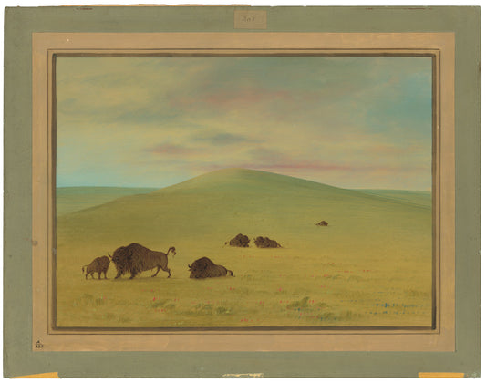 American Pasturage - Prairies of the Platte by George Catlin (American, 1796 - 1872), 16X12"(A3)Poster Print