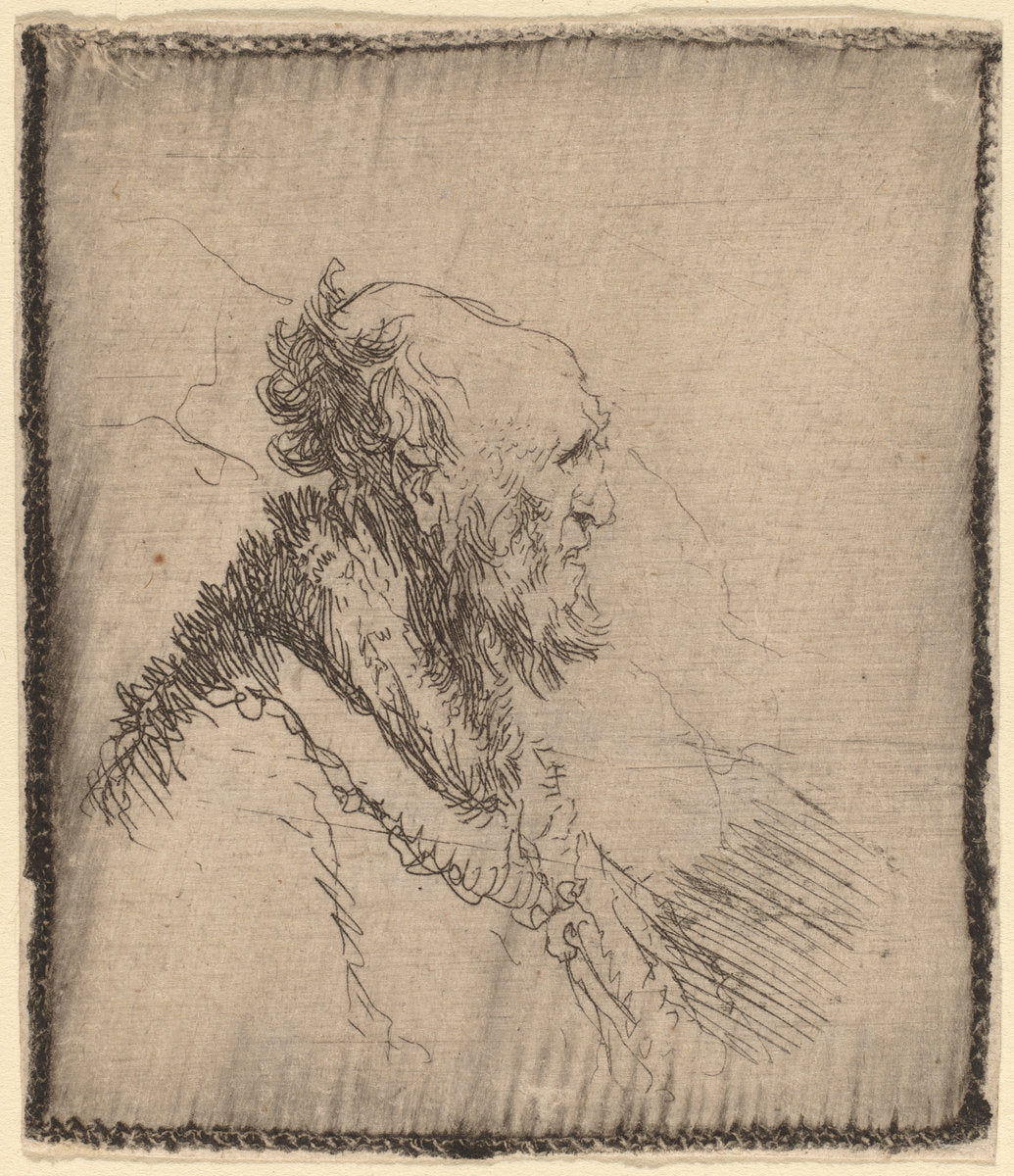 Bald Old Man with a Short Beard in Profile by Rembrandt van Rijn (Dutch, 1606 - 1669), 16X12"(A3)Poster Print