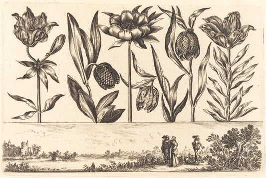 Flower Print no.11 by Nicolas Cochin after Balthasar Moncornet (French, 1610 - 1686), 16X12"(A3)Poster Print