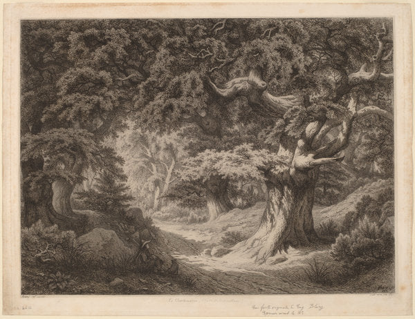 Le Charlemagne (forêt de fontainebleau) by Eugène Bléry (French, 1805 - 1887), 16X12"(A3)Poster Print