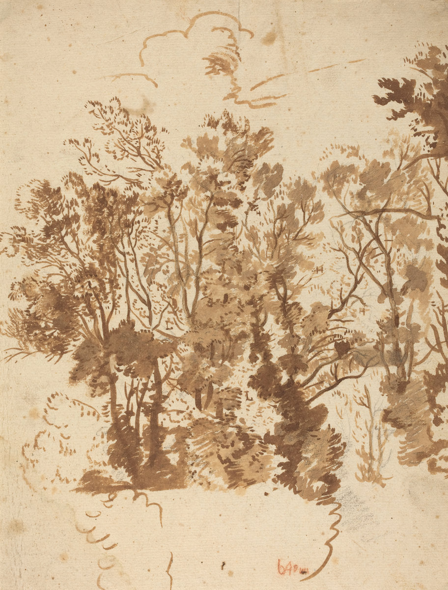 Landscape Study by Bartholomeus Breenbergh (Dutch, probably 1599 - 1657), 16X12"(A3)Poster Print