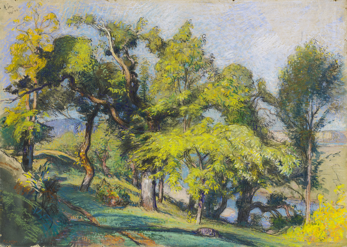 Chestnut Trees above a River by Auguste Lepère (French, 1849 - 1918), 16X12"(A3)Poster Print