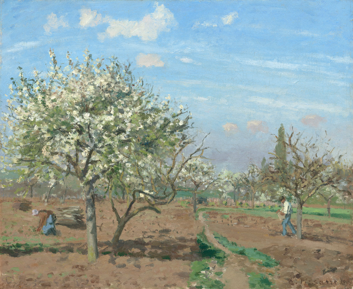 Orchard in Bloom, Louveciennes by Camille Pissarro (French, 1830 - 1903), 16X12"(A3)Poster Print