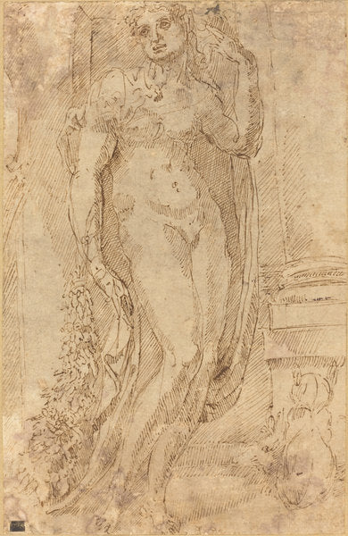 Allegorical Figure with a Cat and a Pig by Jacopo di Giovanni di Francesco (Florentine, 1495 - 1553), 16X12"(A3)Poster Print