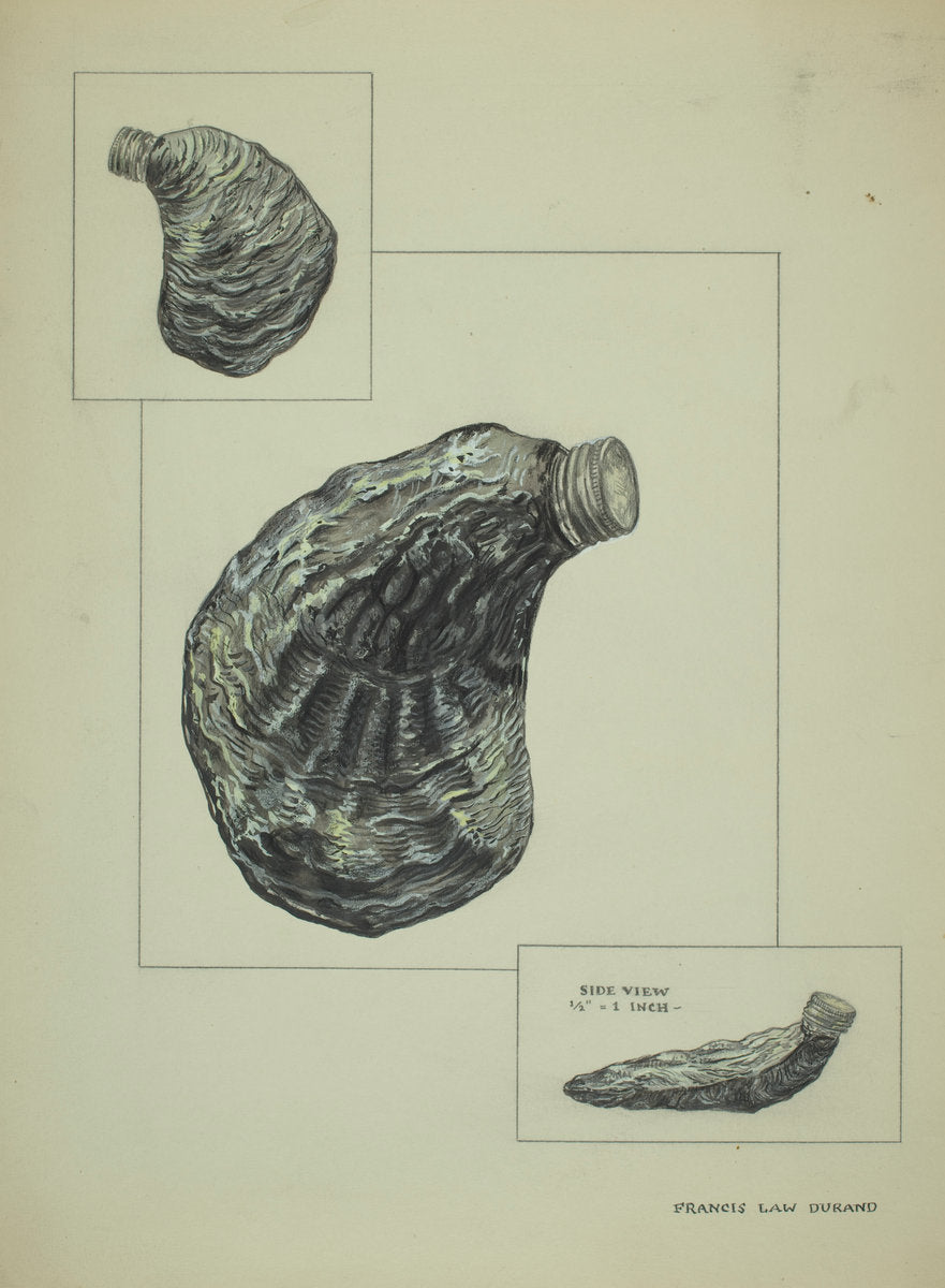 Oyster Shaped Flask by Francis Law Durand (American, active c. 1935), 16X12"(A3)Poster Print