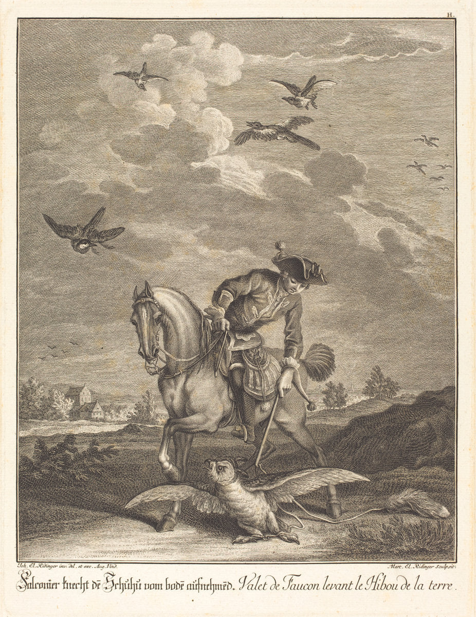 Falconeer Lifting an Owl from the Ground by Johann Elias Ridinger (German, 1698 - 1767), 16X12"(A3)Poster Print