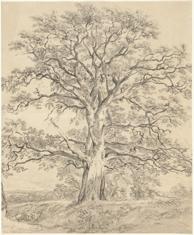 A Great Oak Tree by John Constable (British, 1776 - 1837), 16X12"(A3)Poster Print