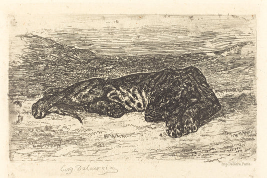 Tiger Sleeping in the Desert (Tigre couché dans le désert) by Eugène Delacroix (French, 1798 - 1863), 16X12"(A3)Poster Print