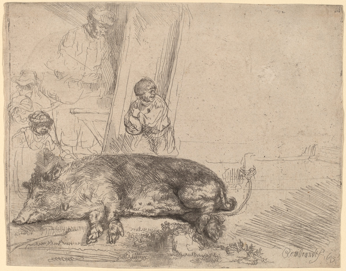 The Hog by Rembrandt van Rijn (Dutch, 1606 - 1669), 16X12"(A3)Poster Print
