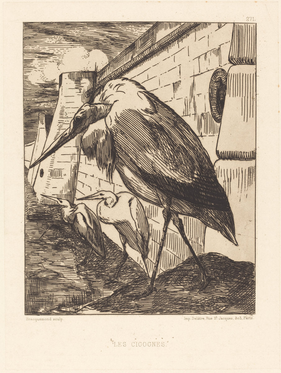 Les Cigognes (The Storks) by Félix Bracquemond (French, 1833 - 1914), 16X12"(A3)Poster Print