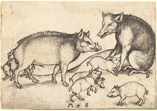 Family of Pigs by Martin Schongauer (German, c. 1450 - 1491), 16X12"(A3)Poster Print
