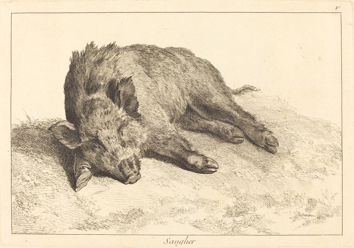Sanglier (Wild Boar Lying Down, Head to the Left) by Jacques-Philippe Le Bas and Jean Eric Rehn after Jean-Baptiste Oudry (Swedish, 1717 - 1793), 16X12"(A3)Poster Print