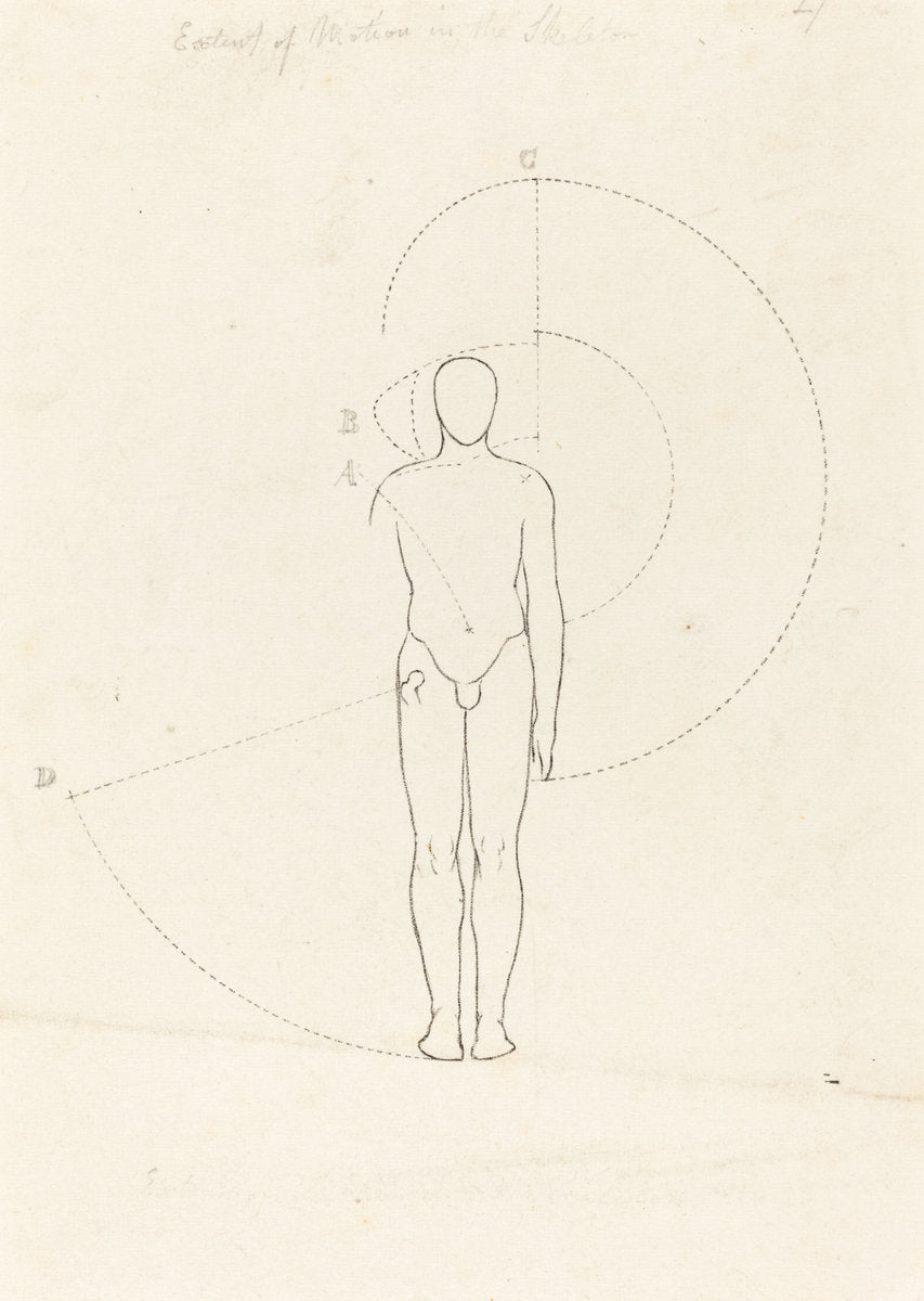 Extent of Motion, One Figure by George Scharf after John Flaxman (German, 1788 - 1860), 16X12"(A3)Poster Print