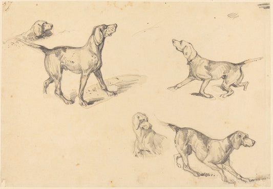 Five Studies of a French Pointer by Richard Parkes Bonington (British, 1802 - 1828), 16X12"(A3)Poster Print