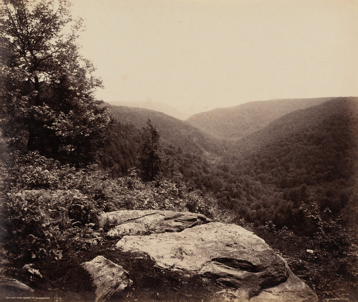 Cliff View, Summit of Alleghenies by William H. Rau (American, 1855 - 1920), 16X12"(A3)Poster Print