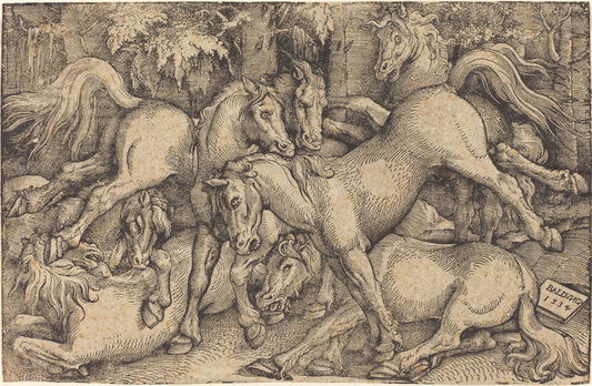 Group of Seven Horses in Woods by Hans Baldung Grien (German, 1484/1485 - 1545), 16X12"(A3)Poster Print