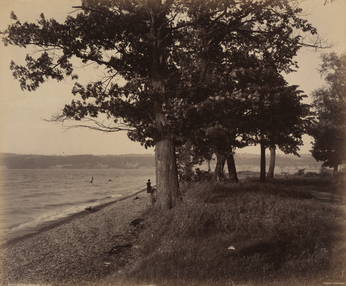 Cayuga Lake, Sheldrake by William H. Rau (American, 1855 - 1920), 16X12"(A3)Poster Print