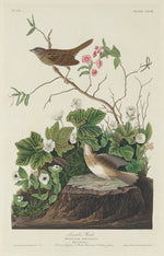 Lincoln Finch by Robert Havell after John James Audubon (American, 1793 - 1878), 16X12"(A3)Poster Print