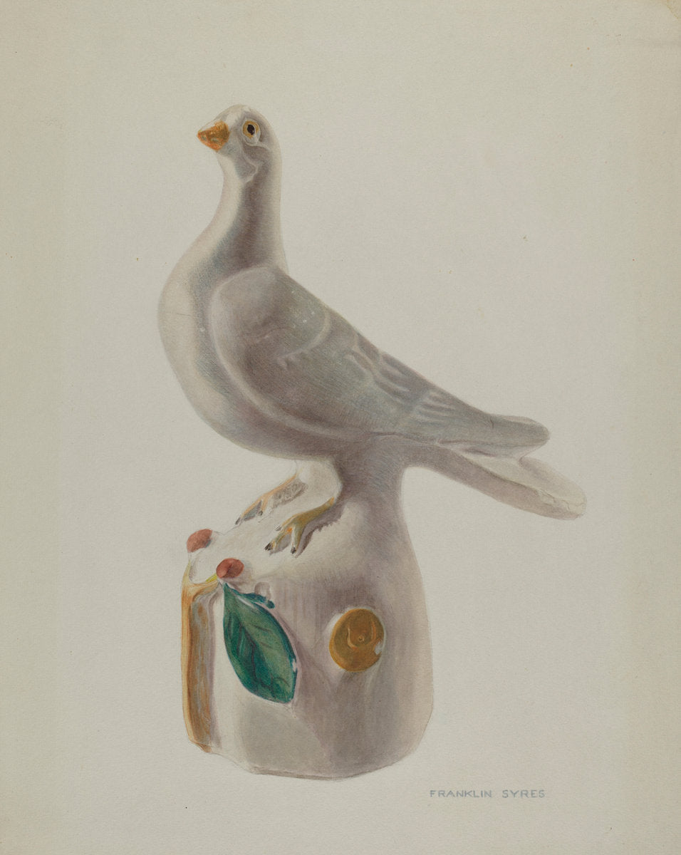 Dove by Franklyn Syres (American, active c. 1935), 16X12"(A3)Poster Print