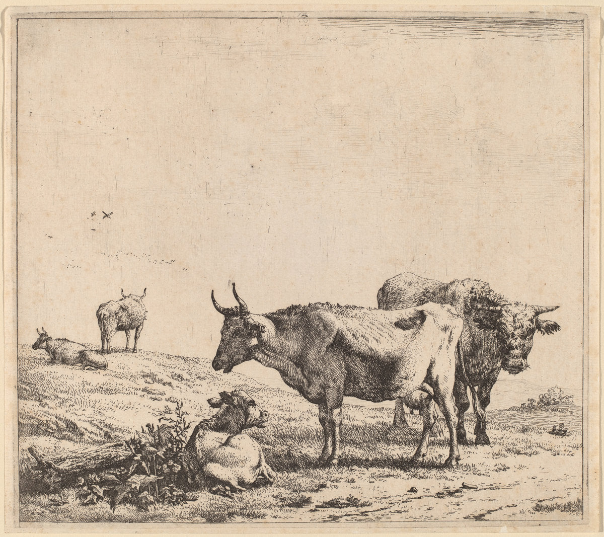 Cow, Bull and Calf by Karel Dujardin (Dutch, c. 1622 - 1678), 16X12"(A3)Poster Print