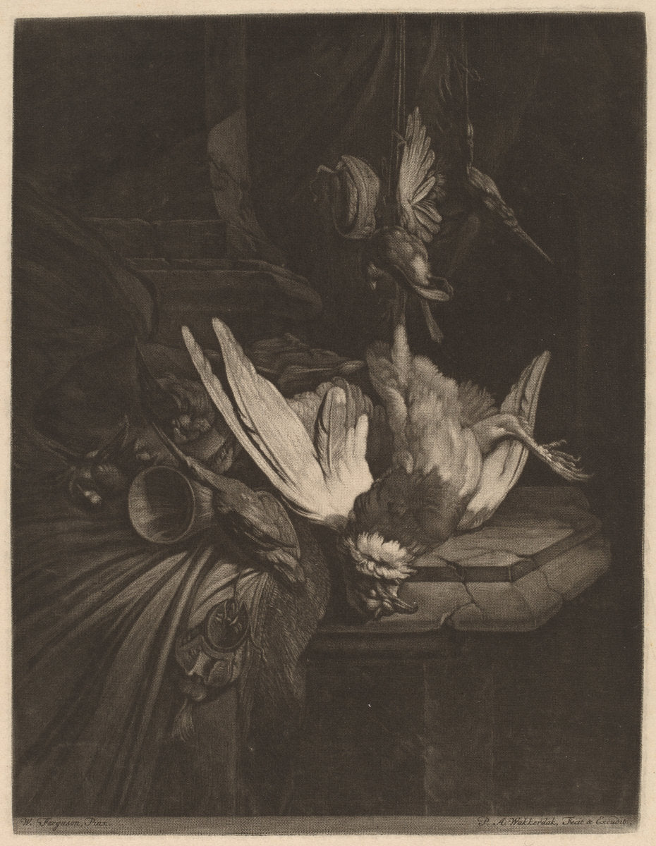 Still Life with Game Birds by Pieter Anthony Wakkerdak after William Gowe Ferguson (Dutch, 1729 - 1774), 16X12"(A3)Poster Print
