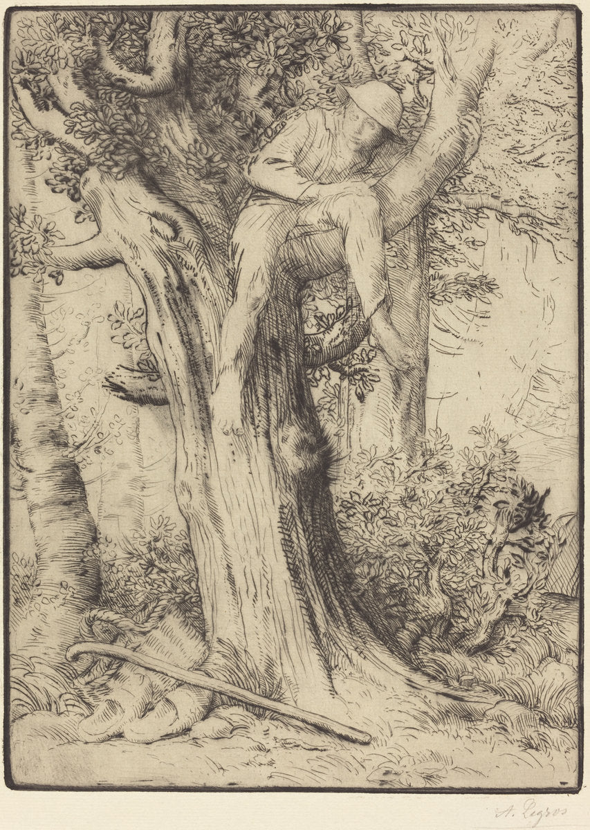 Landscape with a Boy in a Tree (Paysage avec un garcon grimpe sur un arbre, dite "Le denicheur d'oiseaux") by Alphonse Legros (French, 1837 - 1911), 16X12"(A3)Poster Print