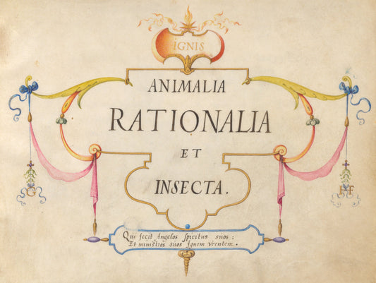 Animalia Rationalia et Insecta (Ignis):  Title Page by Joris Hoefnagel (Flemish, 1542 - 1600), 16X12"(A3)Poster Print