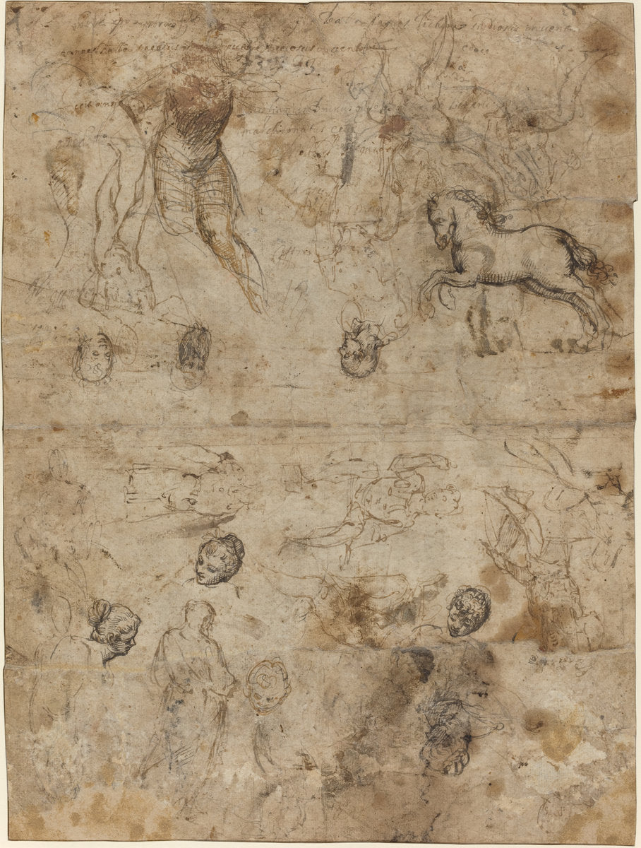 late 16th century by Italian 16th Century (Sheet of Studies), 16X12"(A3)Poster Print