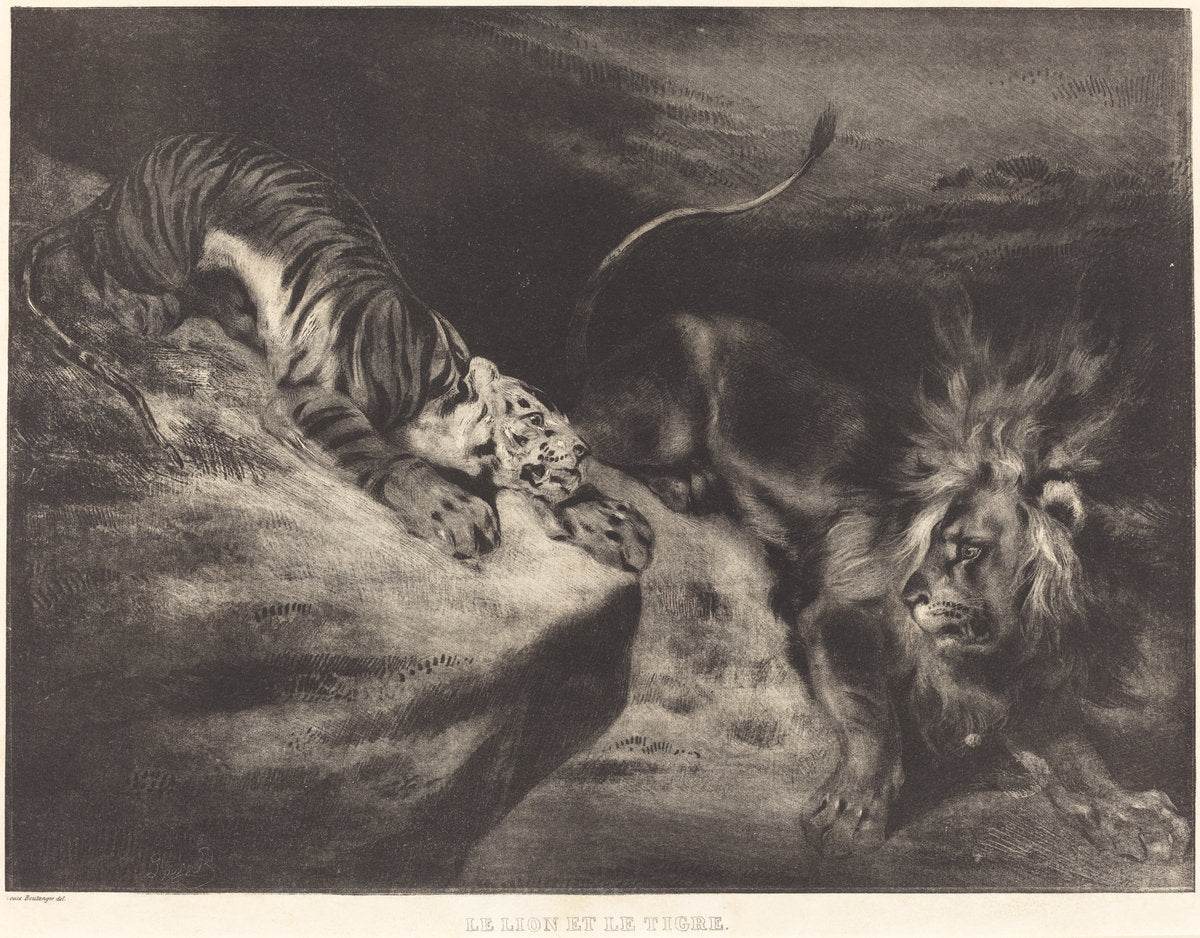 Le Lion et le tigre by Louis-Candide Boulanger after Eugène Delacroix (French, 1806 - 1867), 16X12"(A3)Poster Print