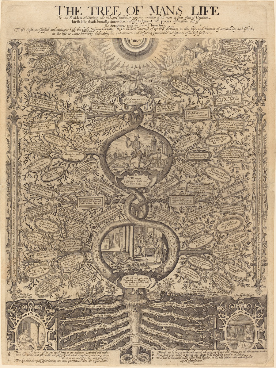 The Tree of Man's Life by John Goddard (English, active 1645/1671), 16X12"(A3)Poster Print