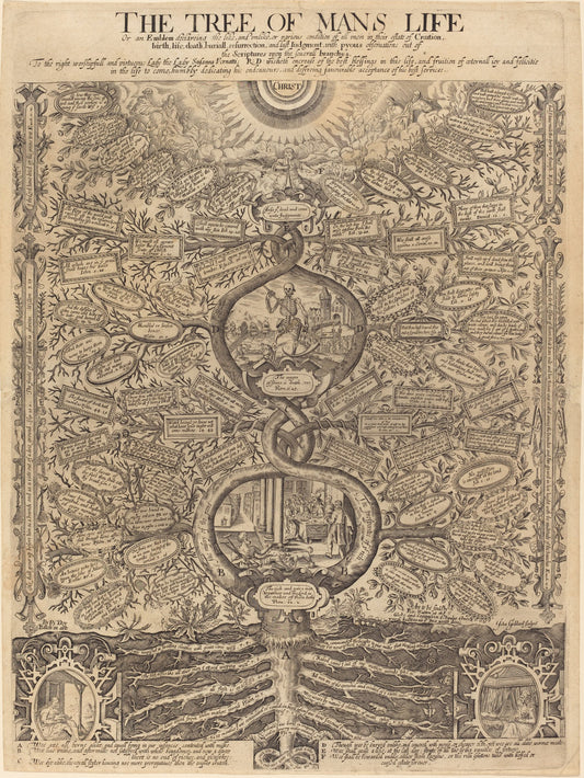 The Tree of Man's Life by John Goddard (English, active 1645/1671), 16X12"(A3)Poster Print