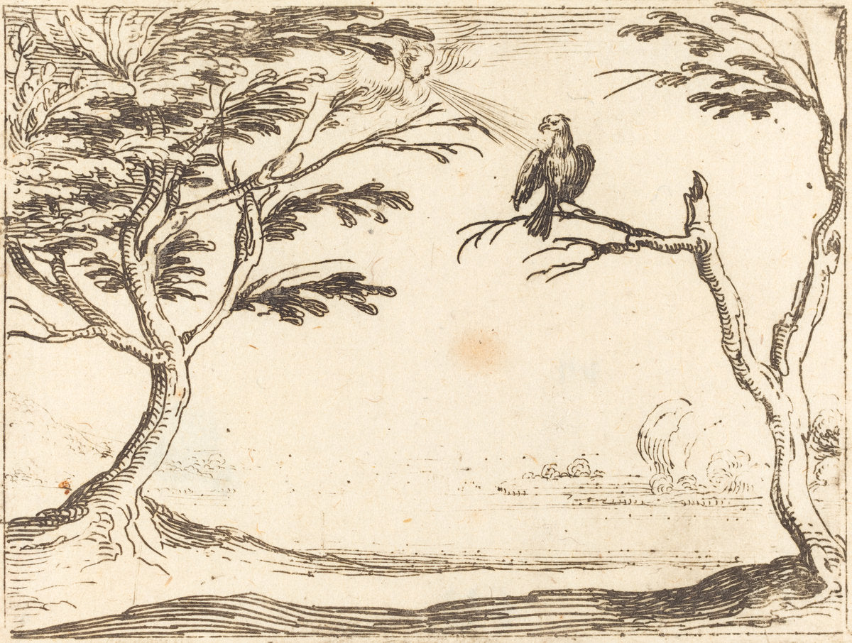 The Vulture by Jacques Callot (French, 1592 - 1635), 16X12"(A3)Poster Print