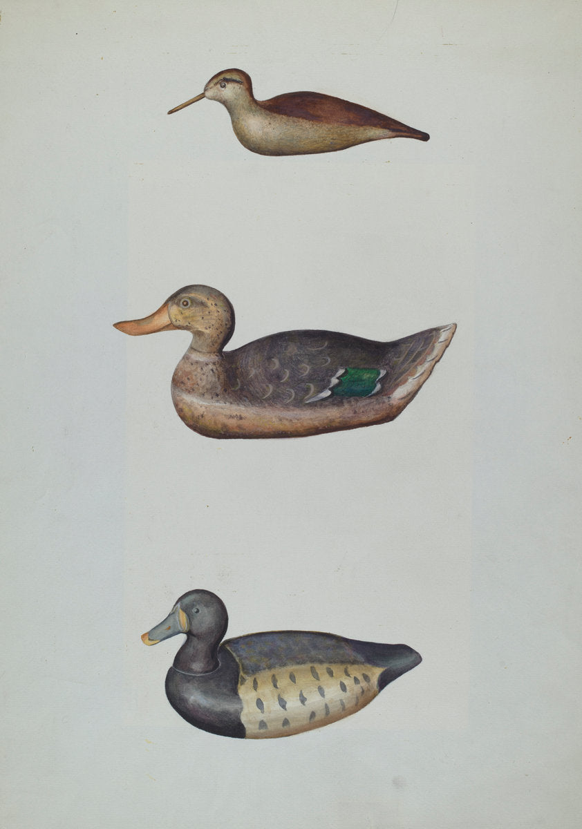 Three Decoy Ducks by Harriette Gale (American, active c. 1935), 16X12"(A3)Poster Print