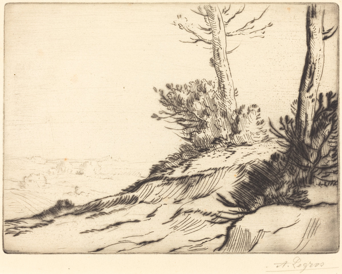 Hill with Bushes (La butte aux brousailles) by Alphonse Legros (French, 1837 - 1911), 16X12"(A3)Poster Print