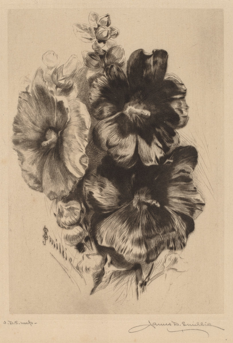 Dark Single Hollyhocks by James David Smillie (American, 1833 - 1909), 16X12"(A3)Poster Print
