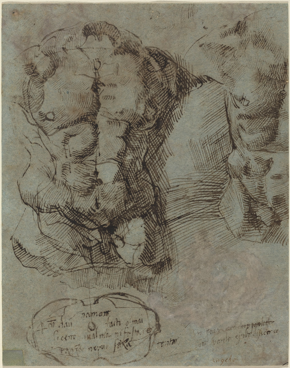 c. 1524 by Italian 16th Century (Studies of a Male Torso), 16X12"(A3)Poster Print