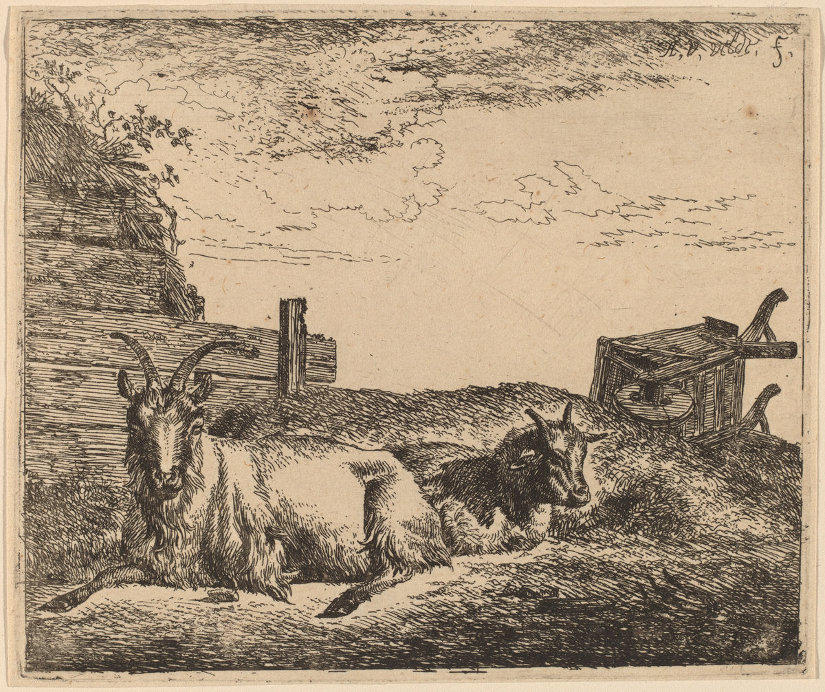 Recumbent Goats by Adriaen van de Velde (Dutch, 1636 - 1672), 16X12"(A3)Poster Print