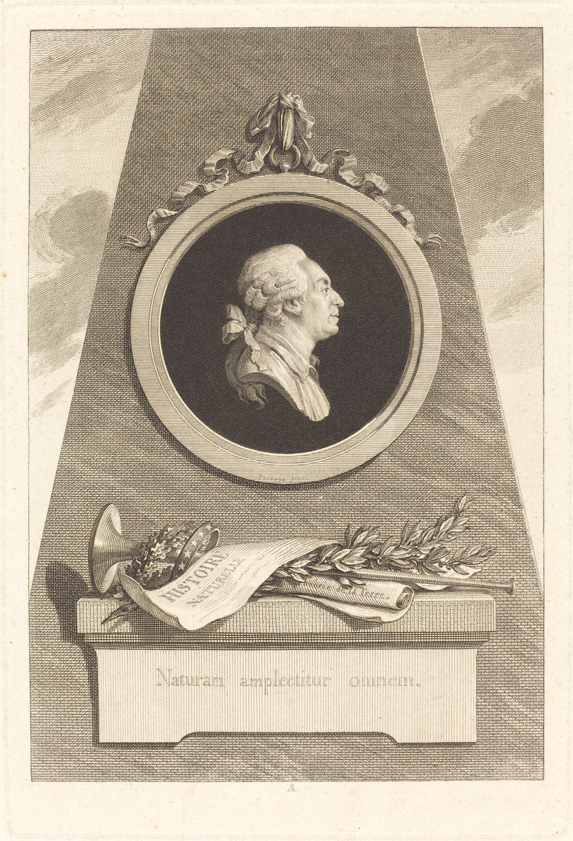 Comte de Buffon by Augustin de Saint-Aubin after Piat Joseph Sauvage (French, 1736 - 1807), 16X12"(A3)Poster Print