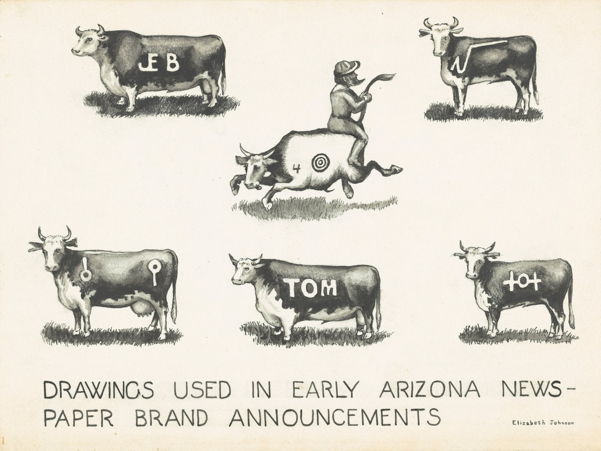 Newspaper Brand Announcements by Elizabeth Johnson (American, active c. 1935), 16X12"(A3)Poster Print