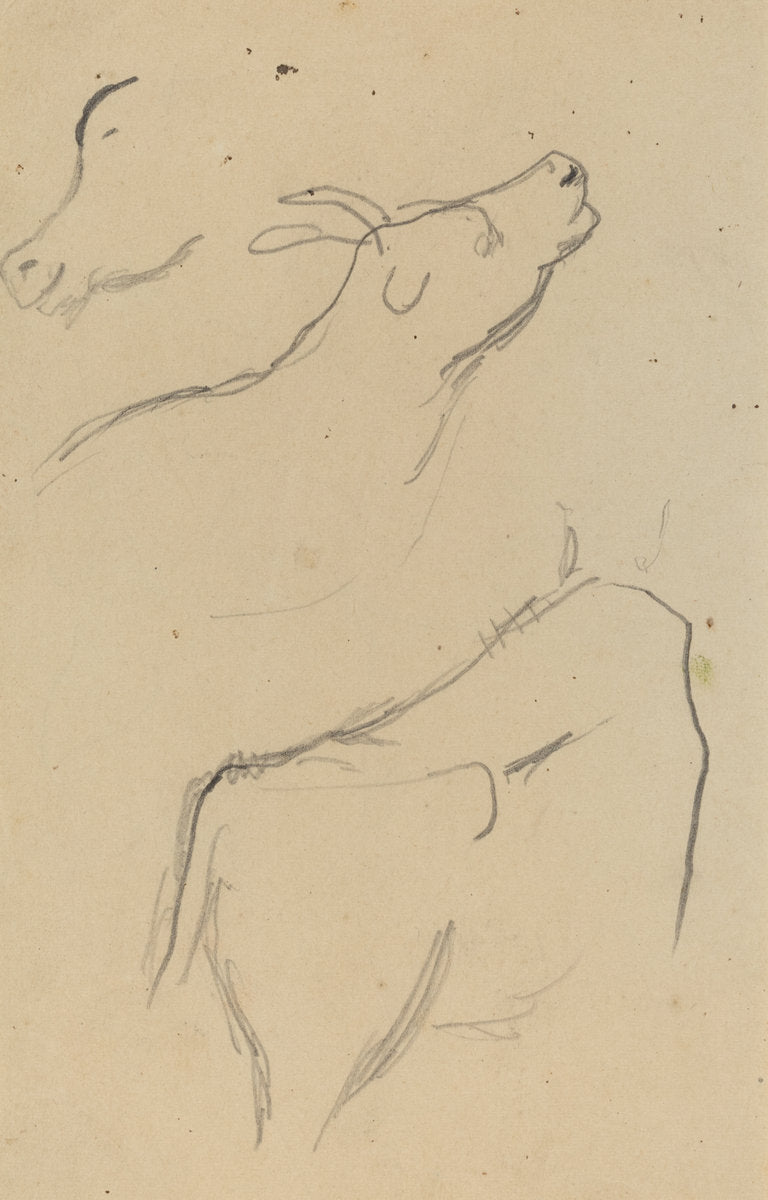 Studies of a Cow [verso] by Paul Gauguin (French, 1848 - 1903), 16X12"(A3)Poster Print