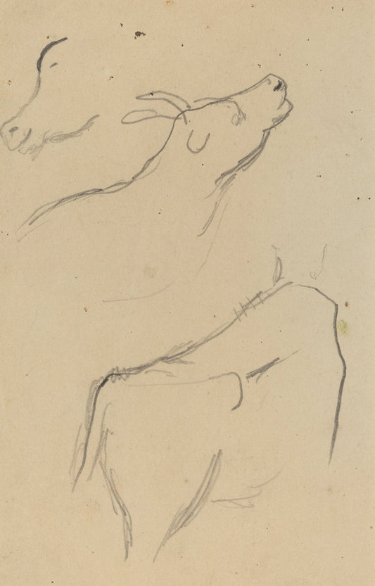 Studies of a Cow [verso] by Paul Gauguin (French, 1848 - 1903), 16X12"(A3)Poster Print