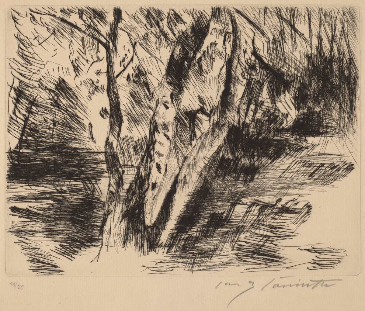 Birch Trees in the Tiergarten by Lovis Corinth (German, 1858 - 1925), 16X12"(A3)Poster Print