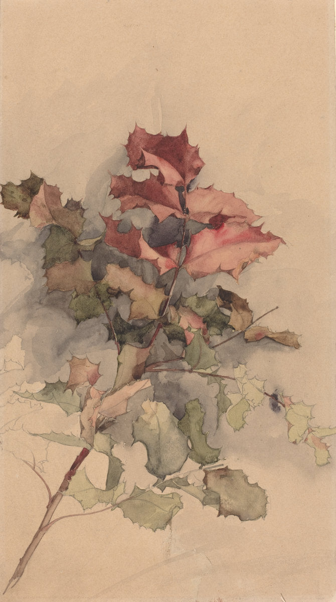 Study of the shrub by Karel Vitezslav Masek (Czech, 1865 - 1927), 16X12"(A3)Poster Print