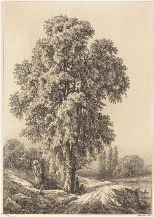 The Elm Tree by Eugène Bléry (French, 1805 - 1887), 16X12"(A3)Poster Print