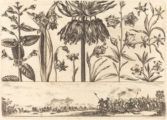 Flower Print no.10 by Nicolas Cochin after Balthasar Moncornet (French, 1610 - 1686), 16X12"(A3)Poster Print